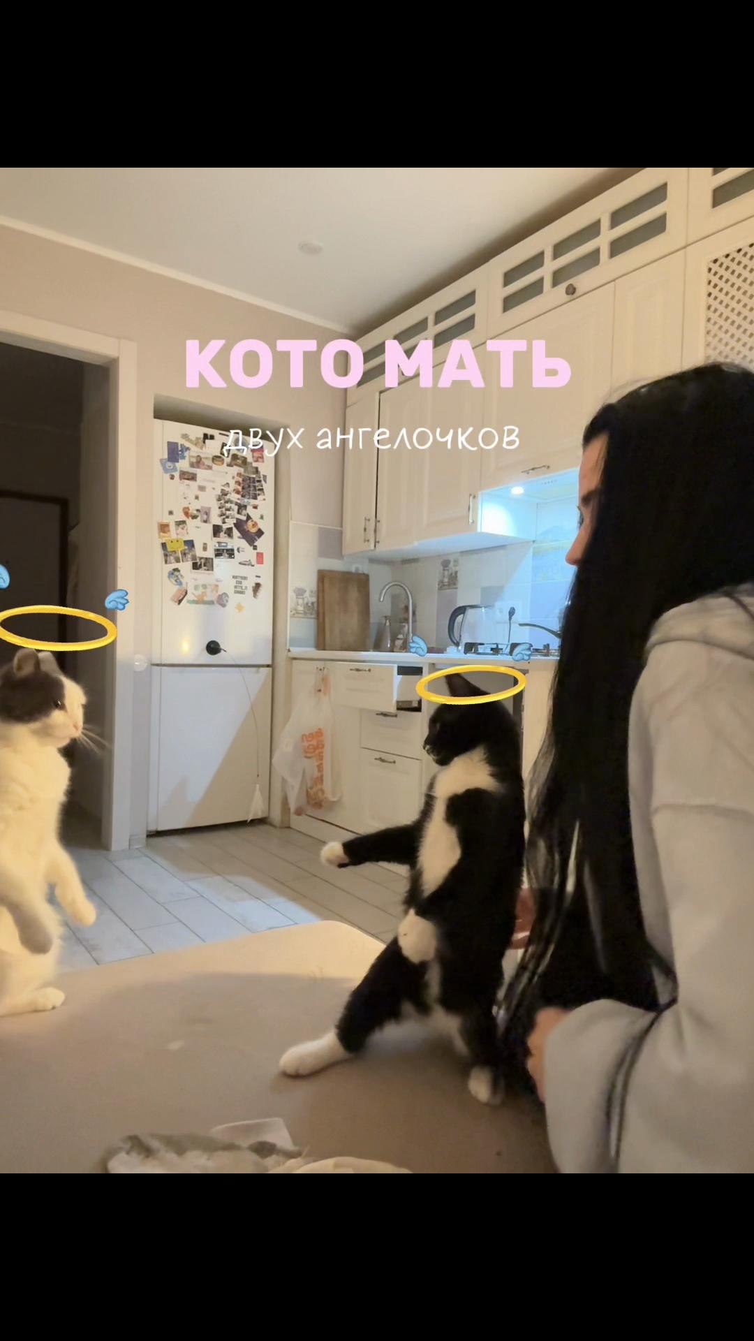 @ТРЕТЬЯЧКА