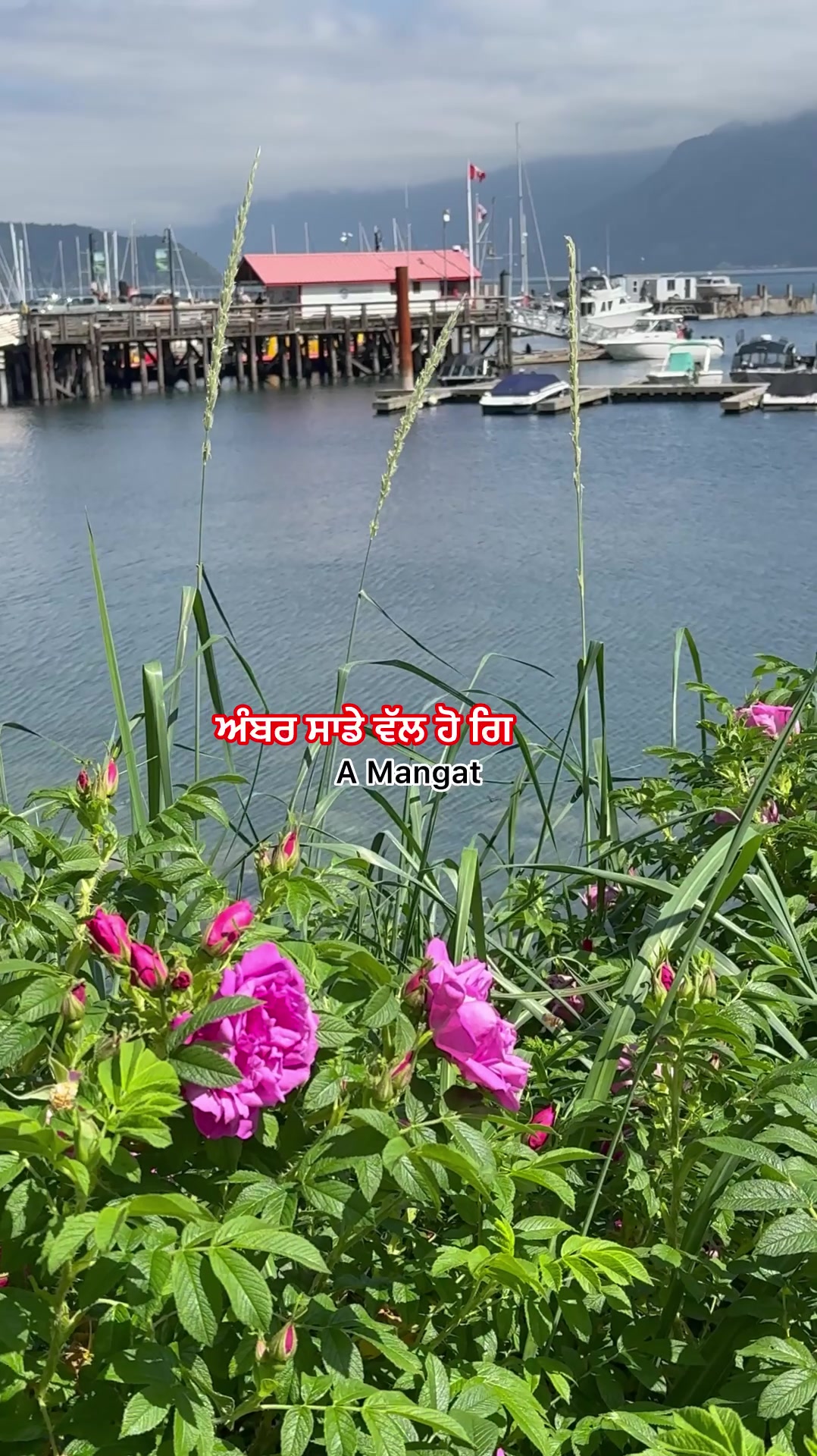@A Mangat