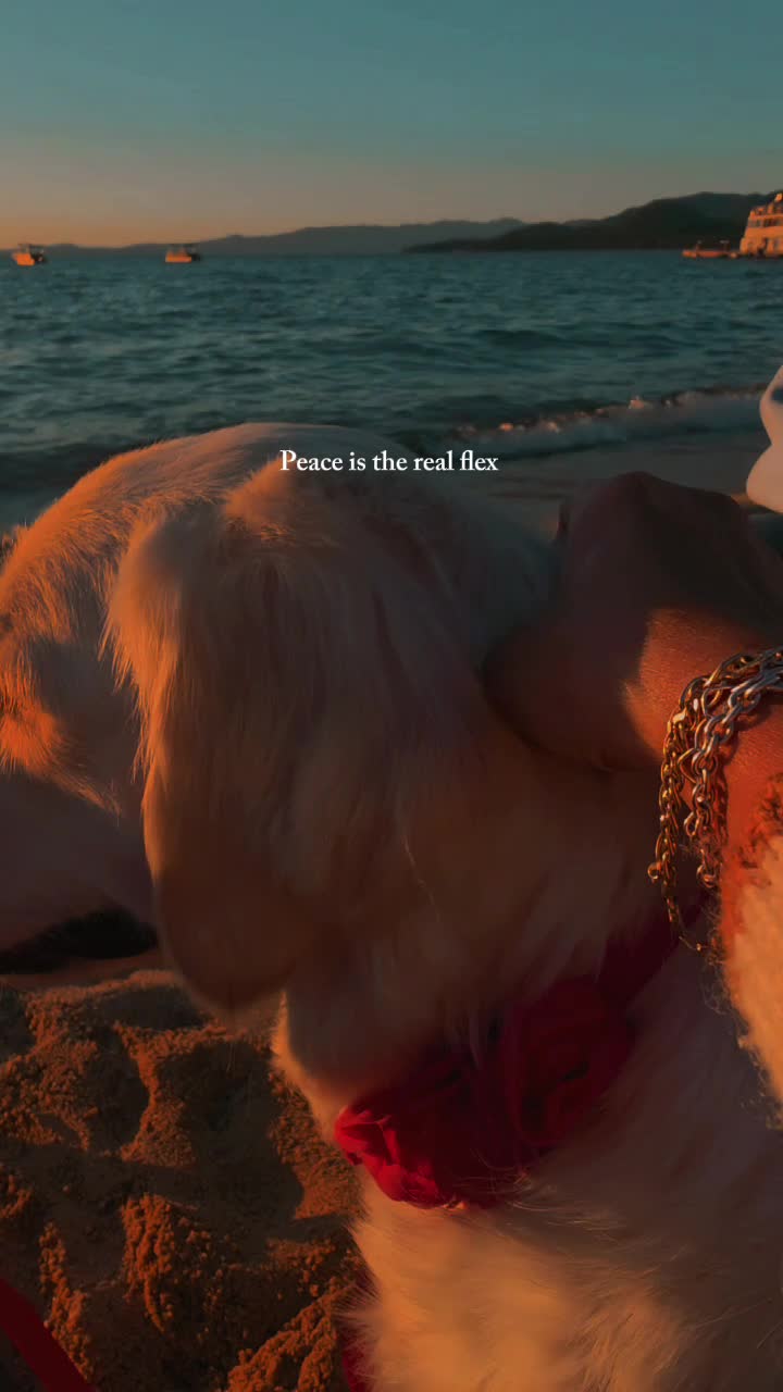 @DoggieMamaFurever&hearts;️🐶