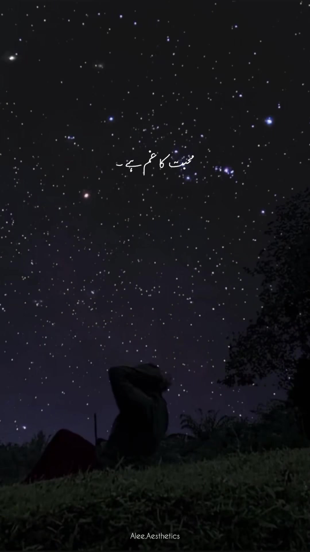 @𝐀 𝐋 𝐄 𝐄 ♡
