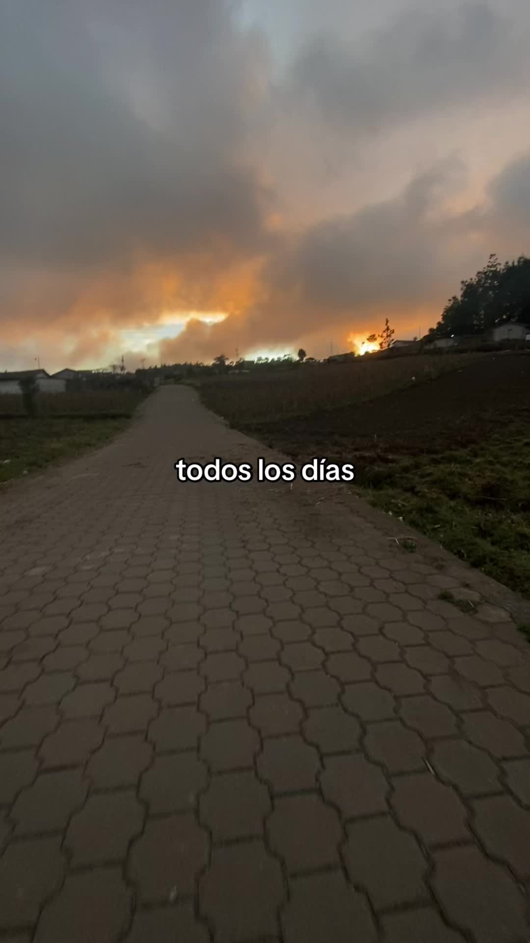 @alejandrx_zz 