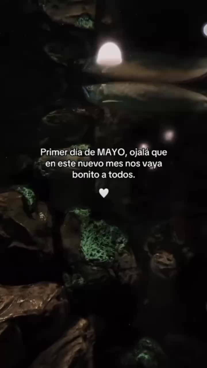 @Videos de todo tipo