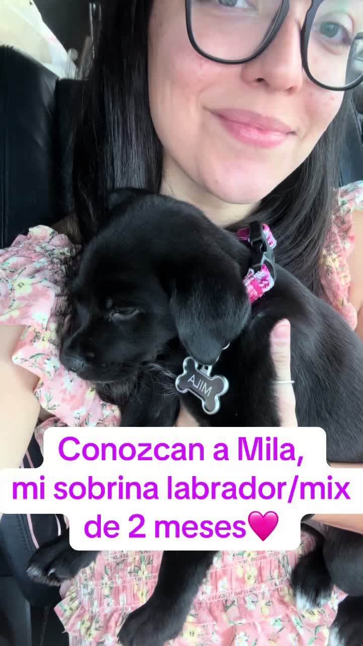 @Cathia Ortiz
