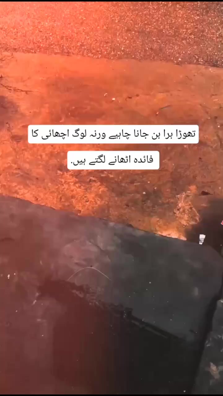 @𓆩🔥𓆪Tʀᴇɴᴅɪɴɢ𓆩🔥𓆪