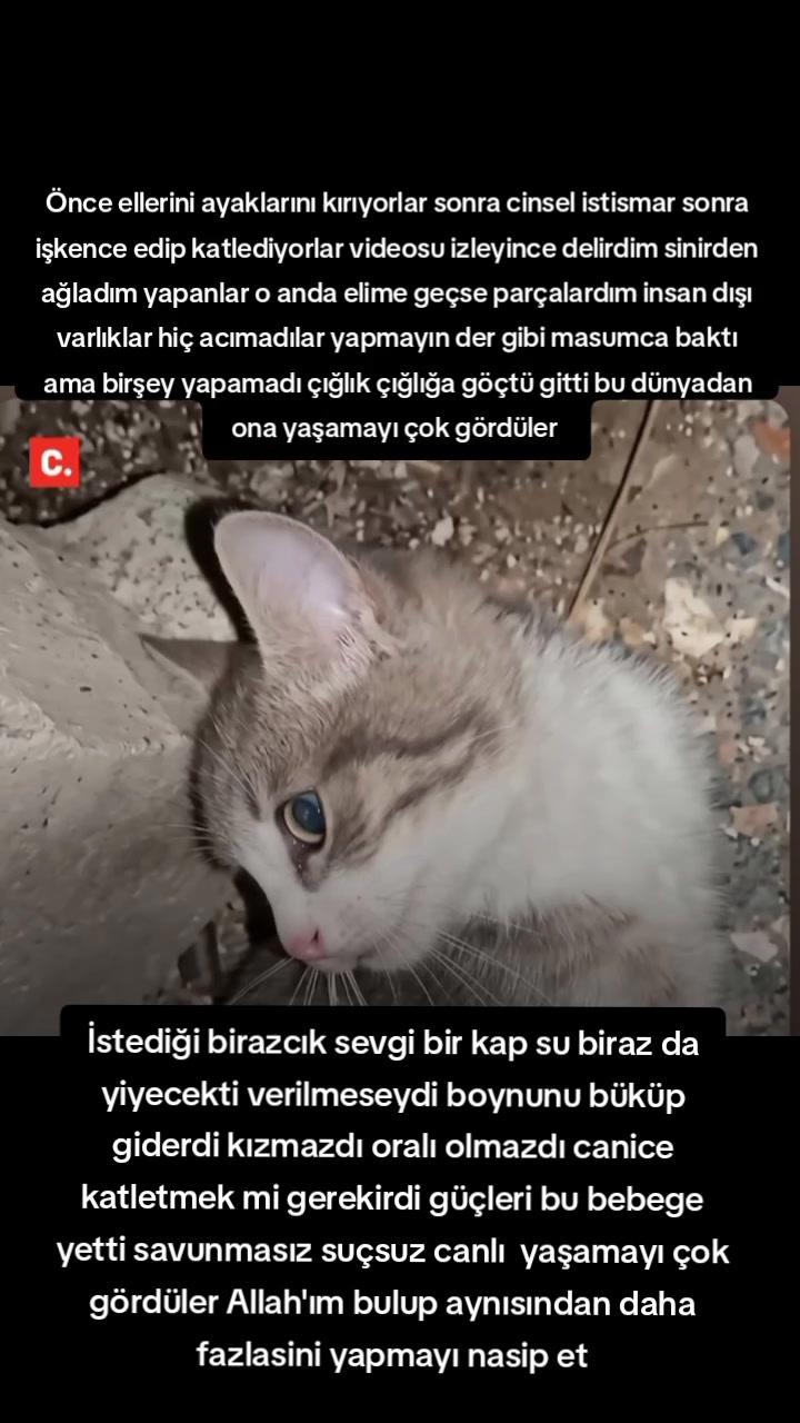 @🇹🇷ʜᴀʀʙɪ̇ ᴛᴜ̈ʀᴋ ᴋɪᴢɪ🇹🇷Ⓜ️🧿