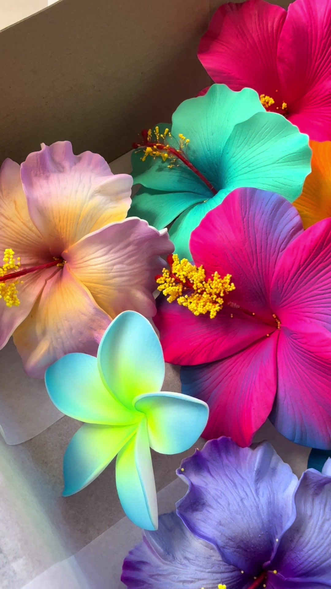 @Island Aesthetica ๐บ