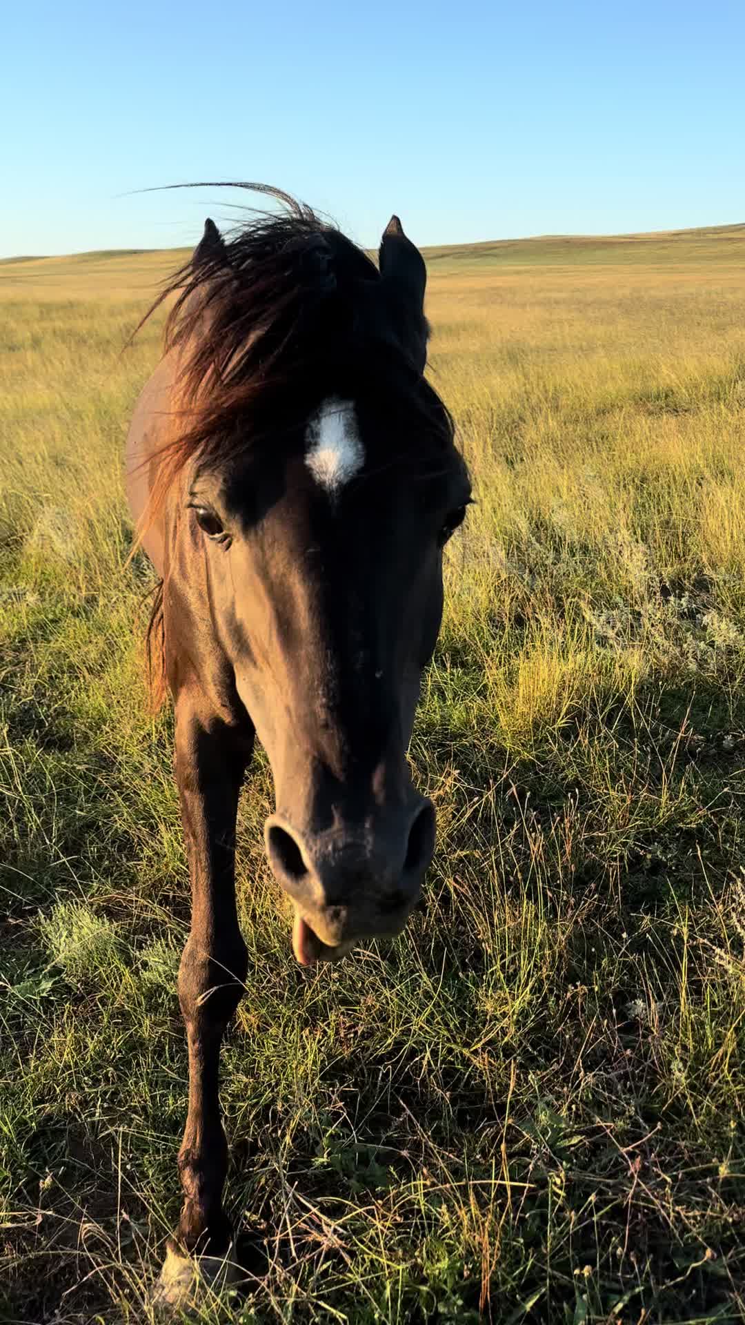 @MakvinStud