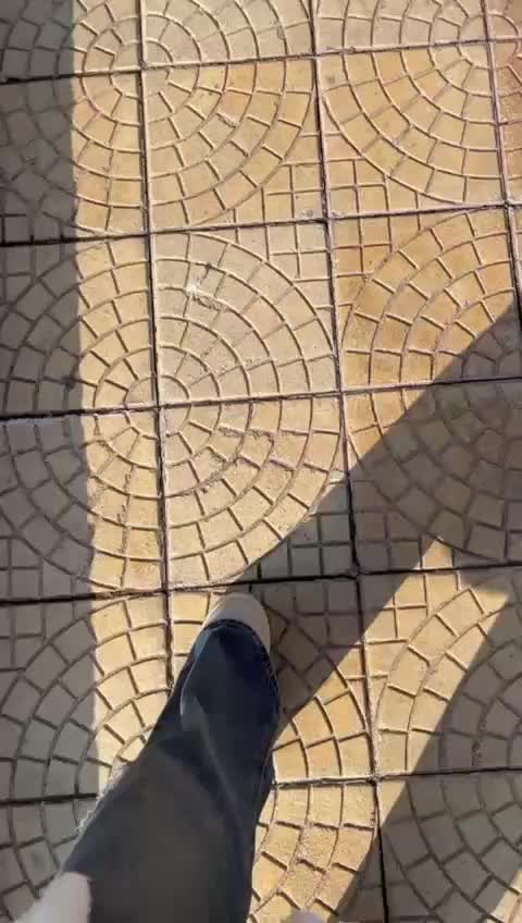 @🤍🐆