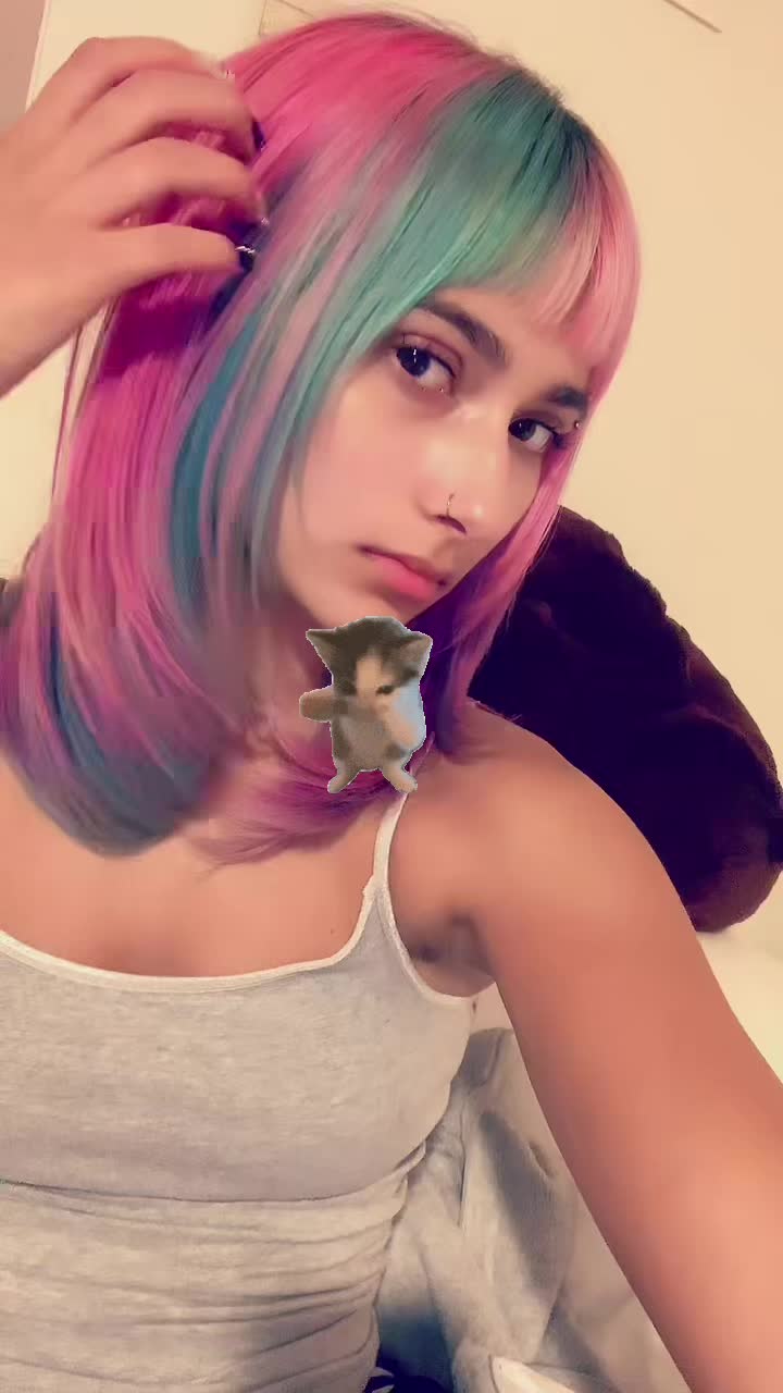 @bengaltigress