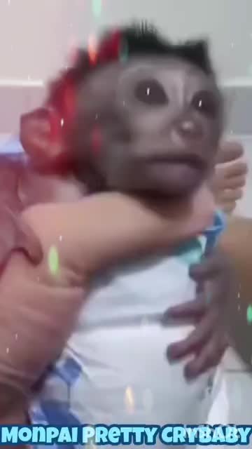 @Monpai Cult