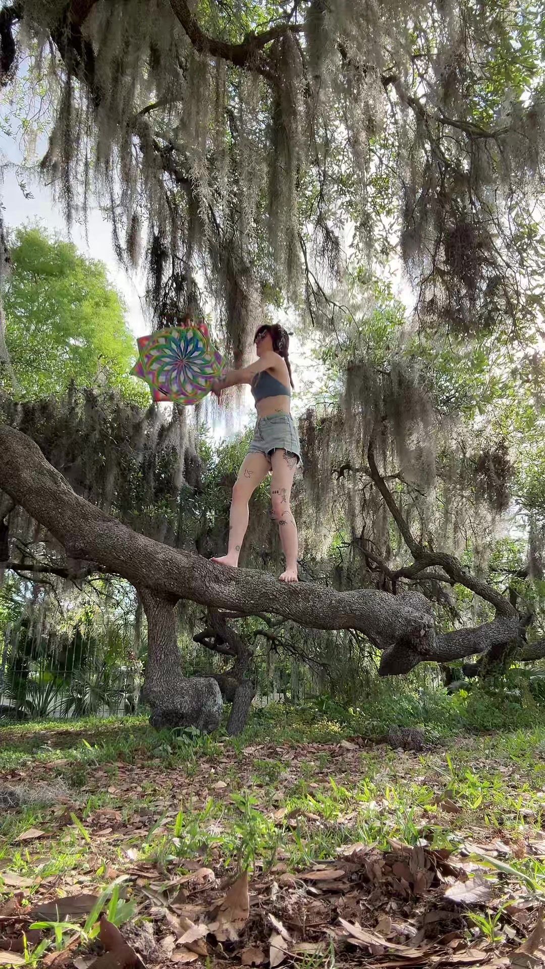 @lilbitopixiedust