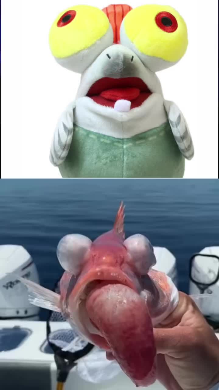 @Isaac