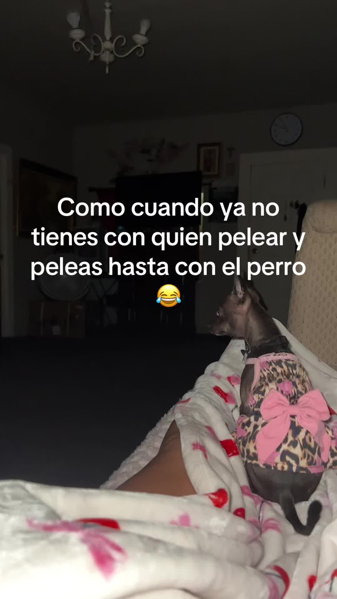 @✨Jhoany Bonilla✨