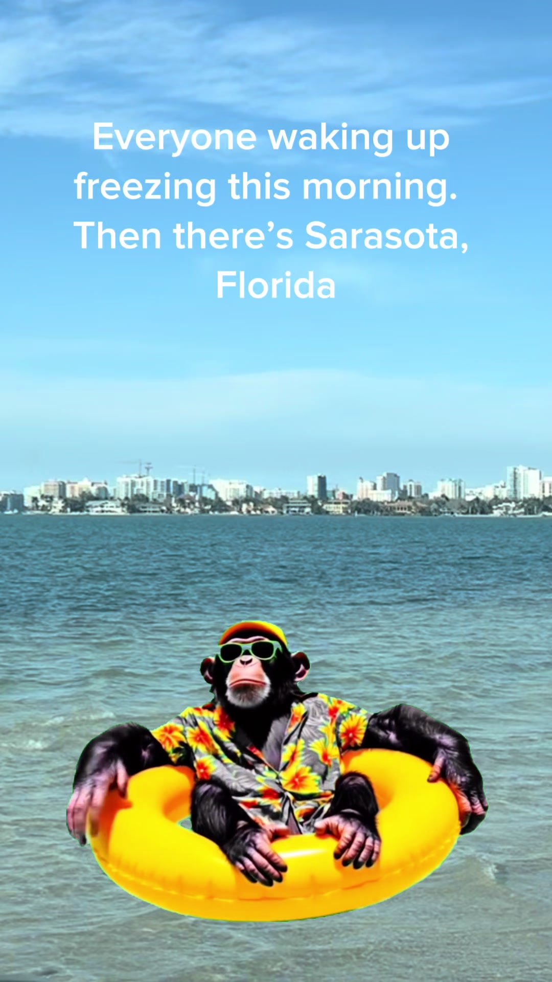 @Sarasota Local Guide 🌊🏝️