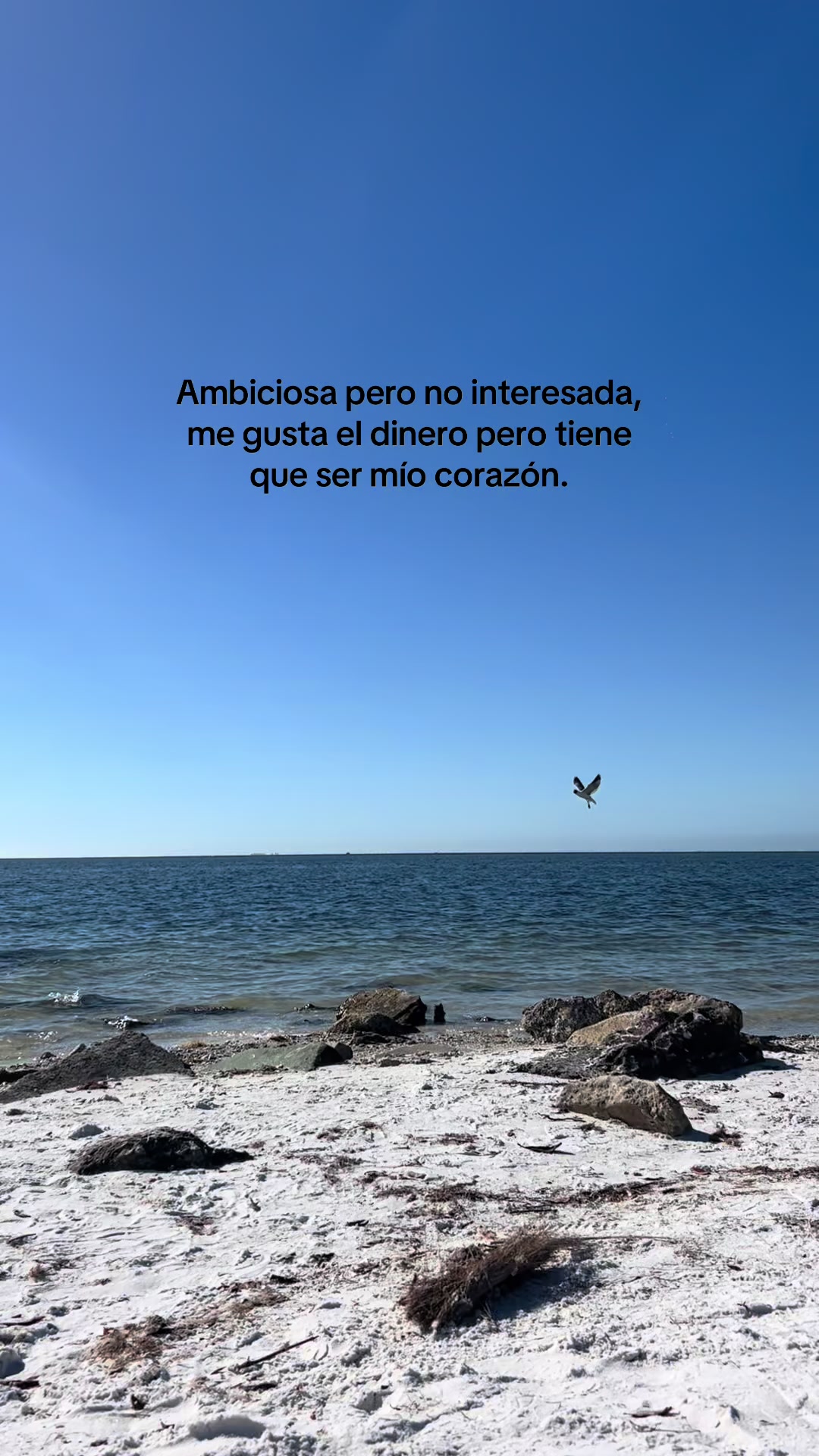 @Mar&iacute;a Ochoa 🌸🍓