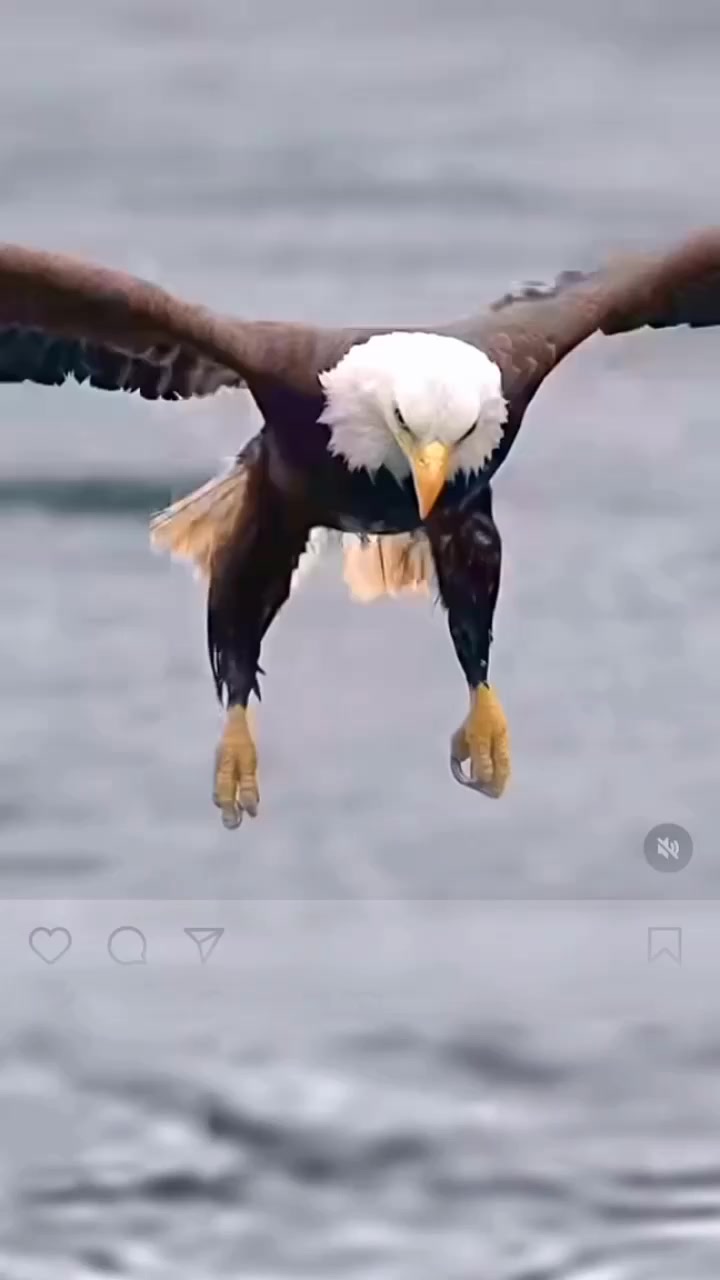 @Umar Hayat