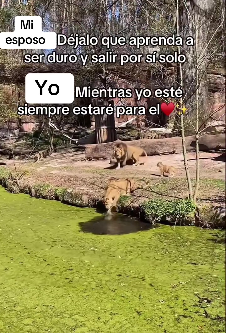 @Luzma1802