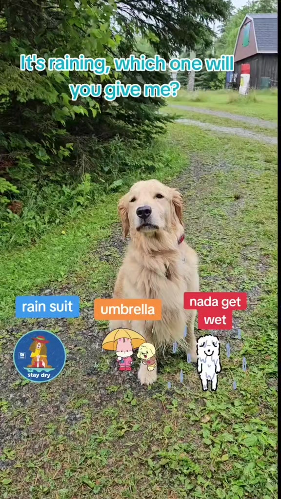 @🐶Griffin