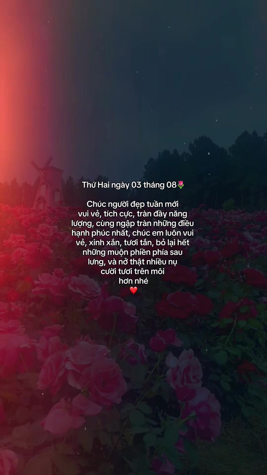 @ᥫᩣѕυy мộт cнúт౨ৎ