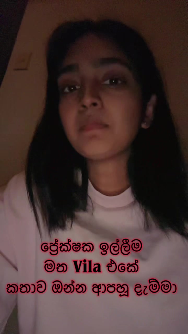 @DIMI