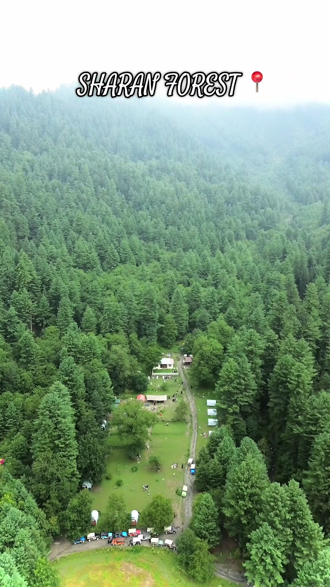 @Shogran Vibes