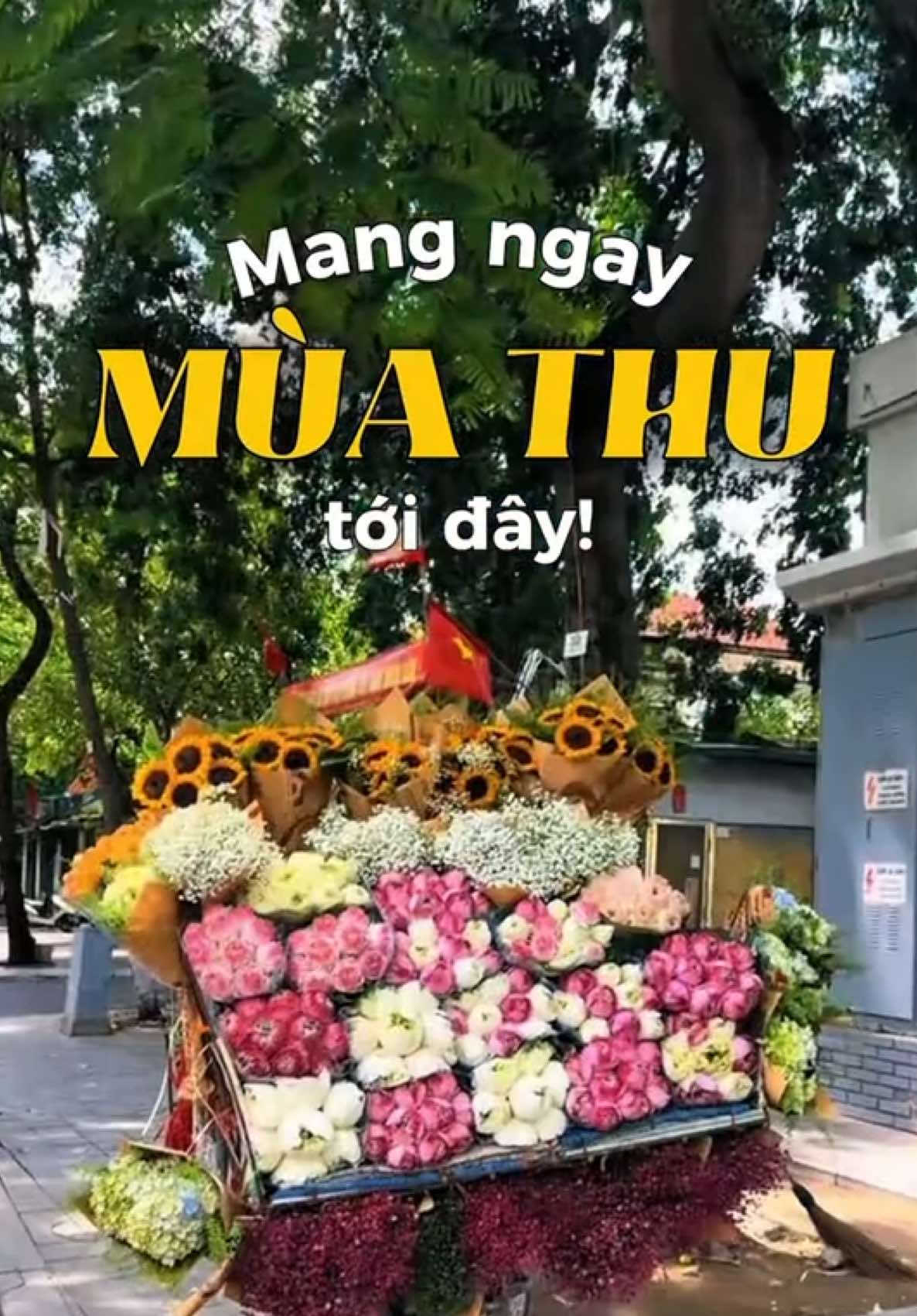@XÌNH XỊCH STATION