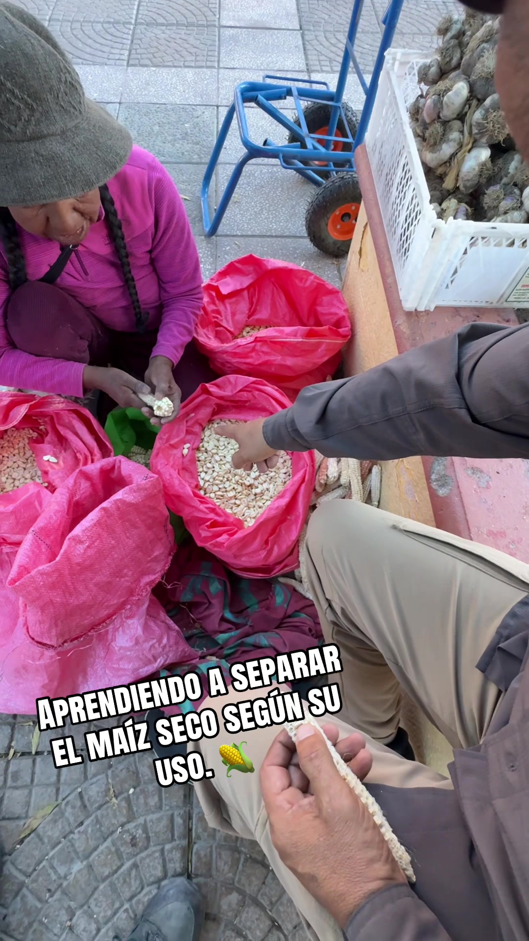 @Qu&eacute; hacer en Iquique