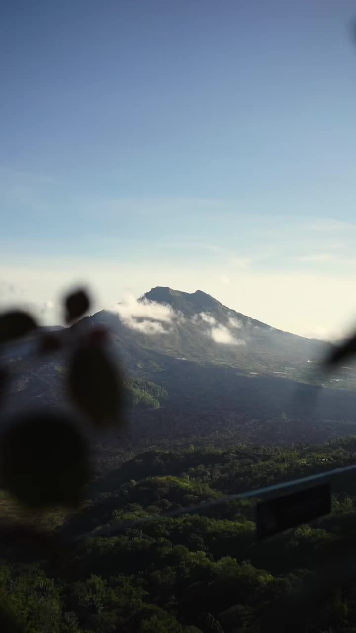 @Amora Kintamani