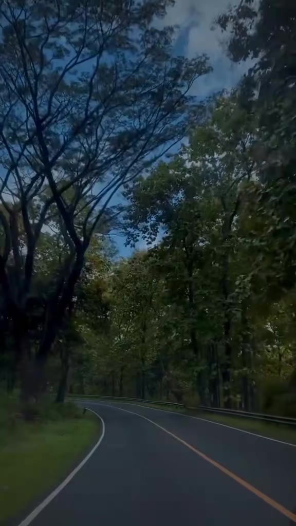 @yaprak dökümü