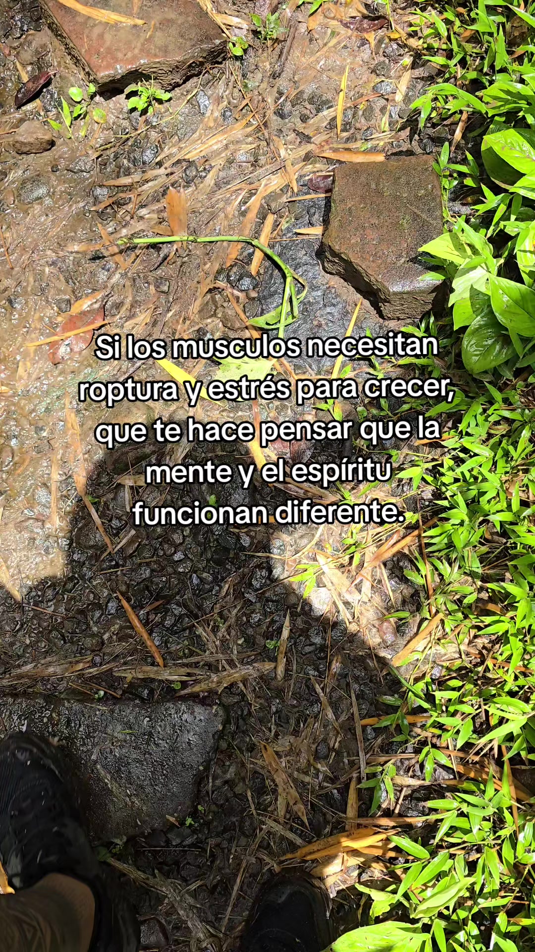 @JuniorManizales