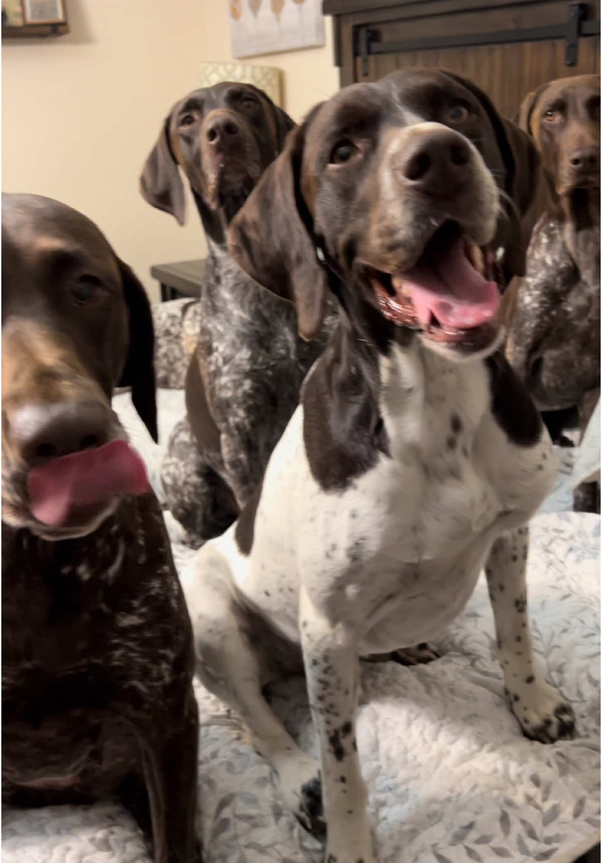 @alice_the_gsp