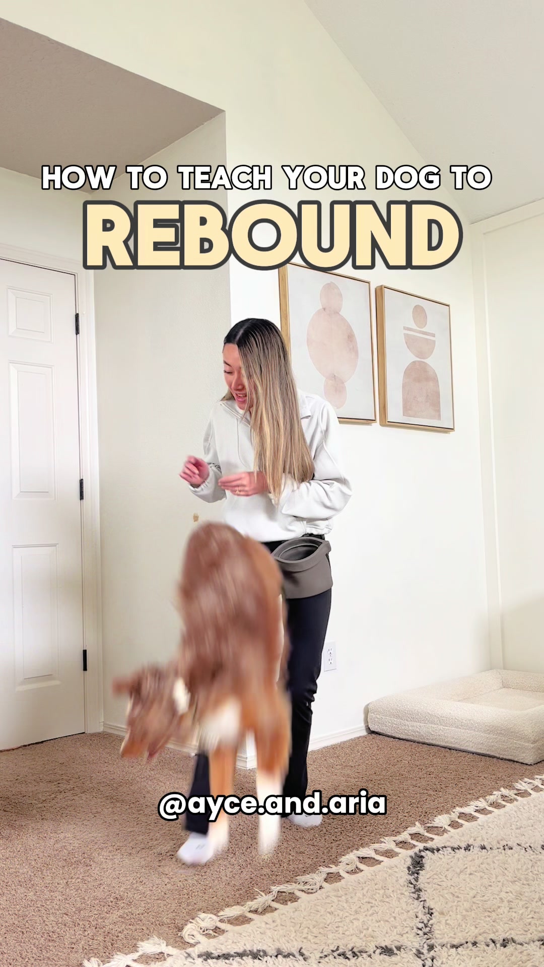 @ayce & aria 🐶