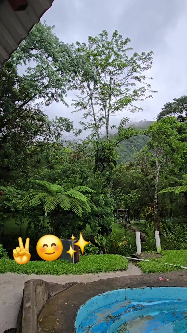 @🇬🇹💛Julio Castillo Reyes🐯