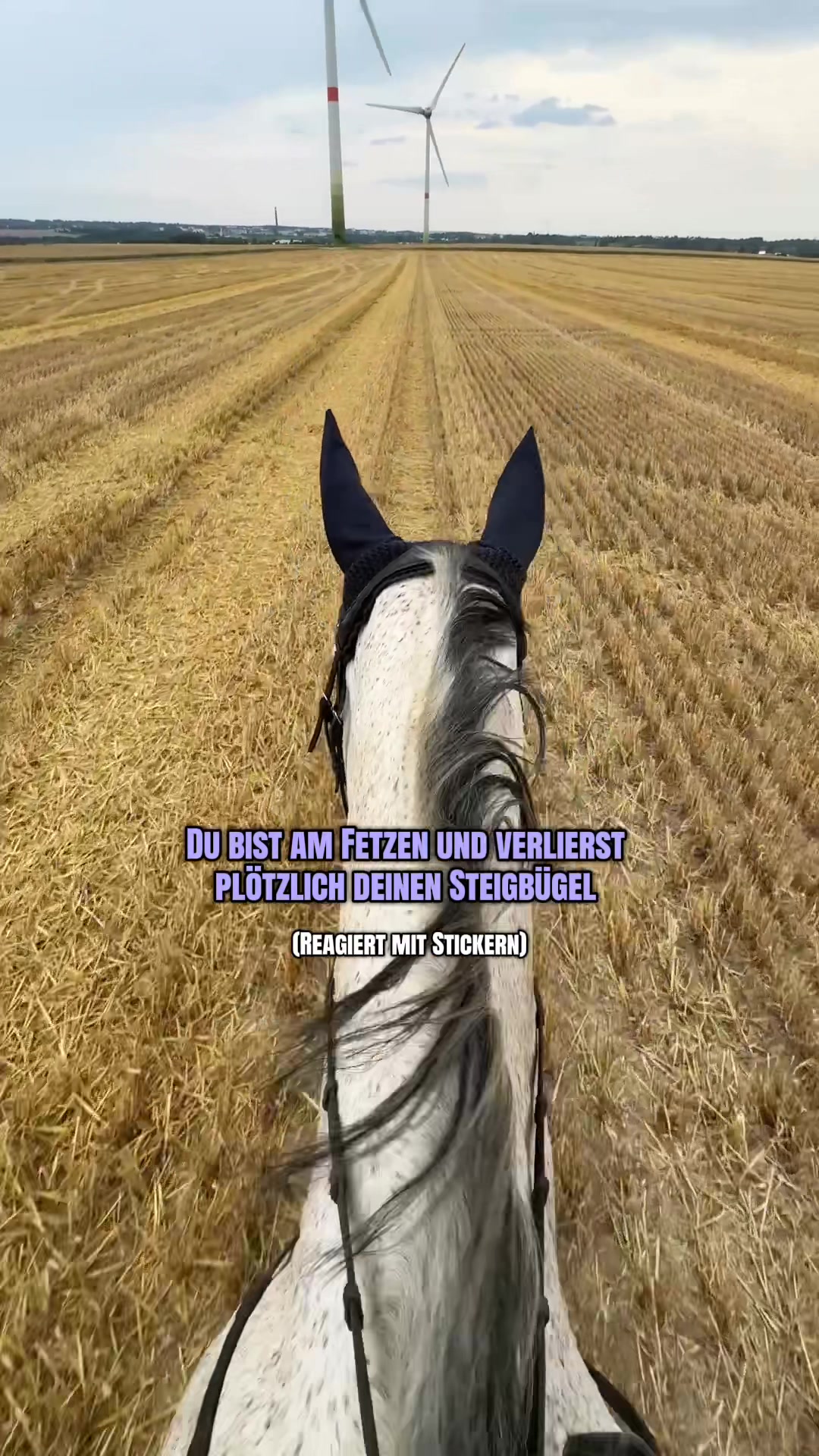 @Lieblings.scheckiii