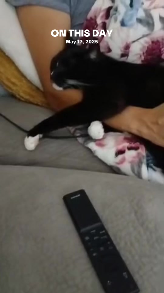 @Pablo & Luigi 🐾