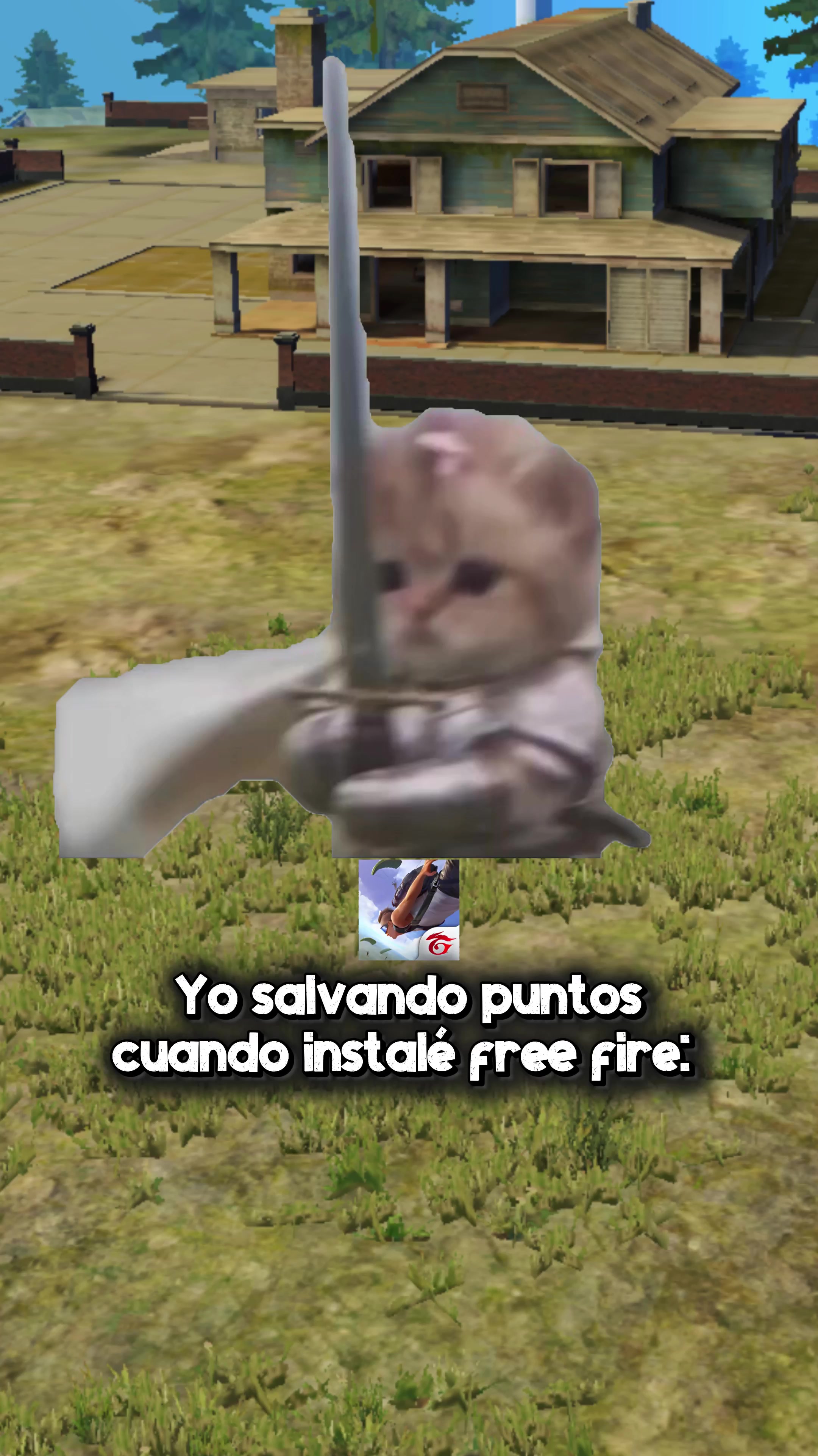 @elvicent_of
