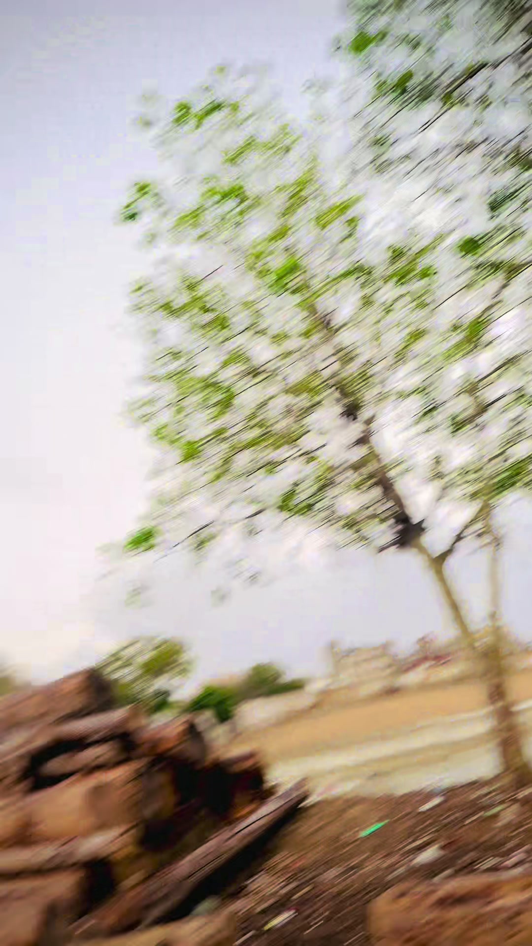 @Arbaz Khan