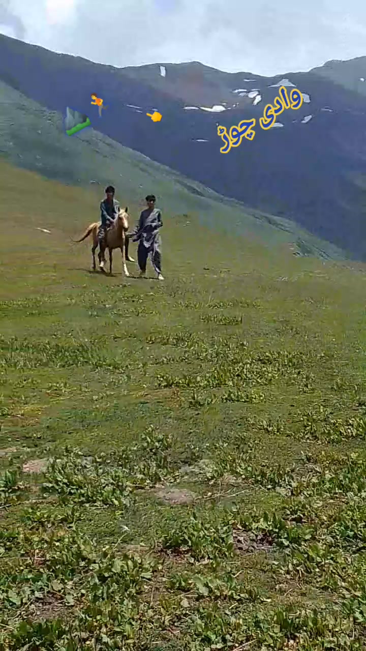 @shahzeb khan