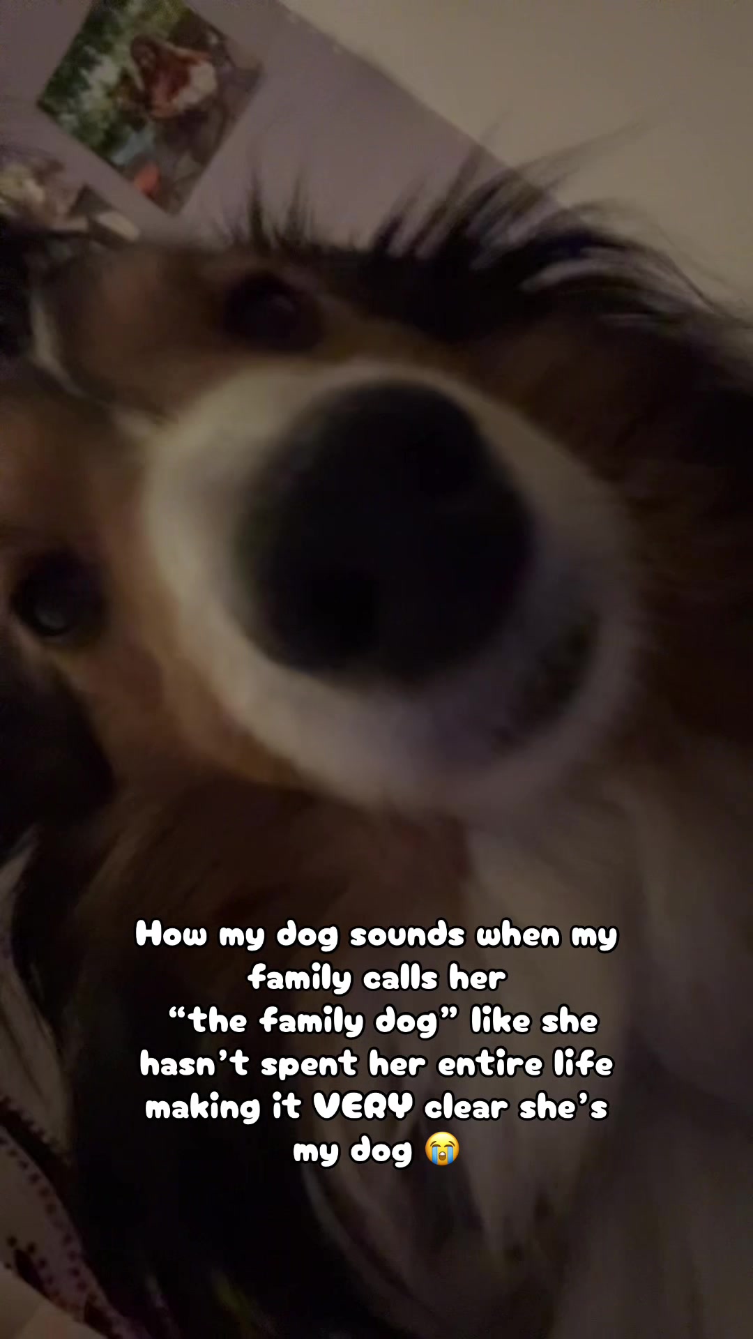 @Josie