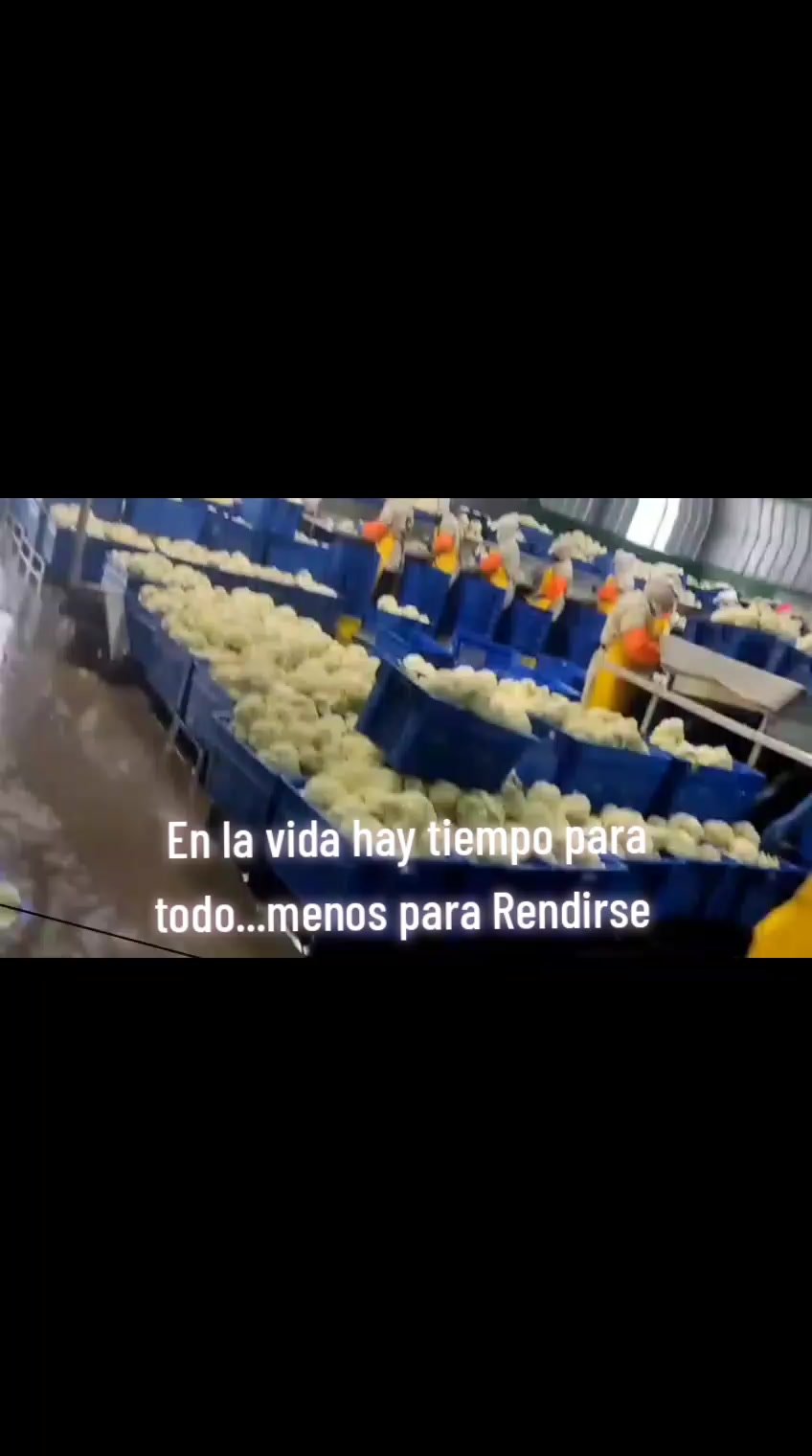 @Cecy vega