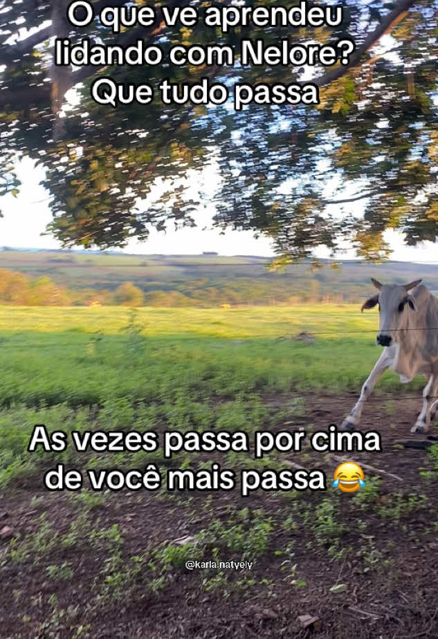 @🪶 Karla Natyely🇧🇷🇺🇸
