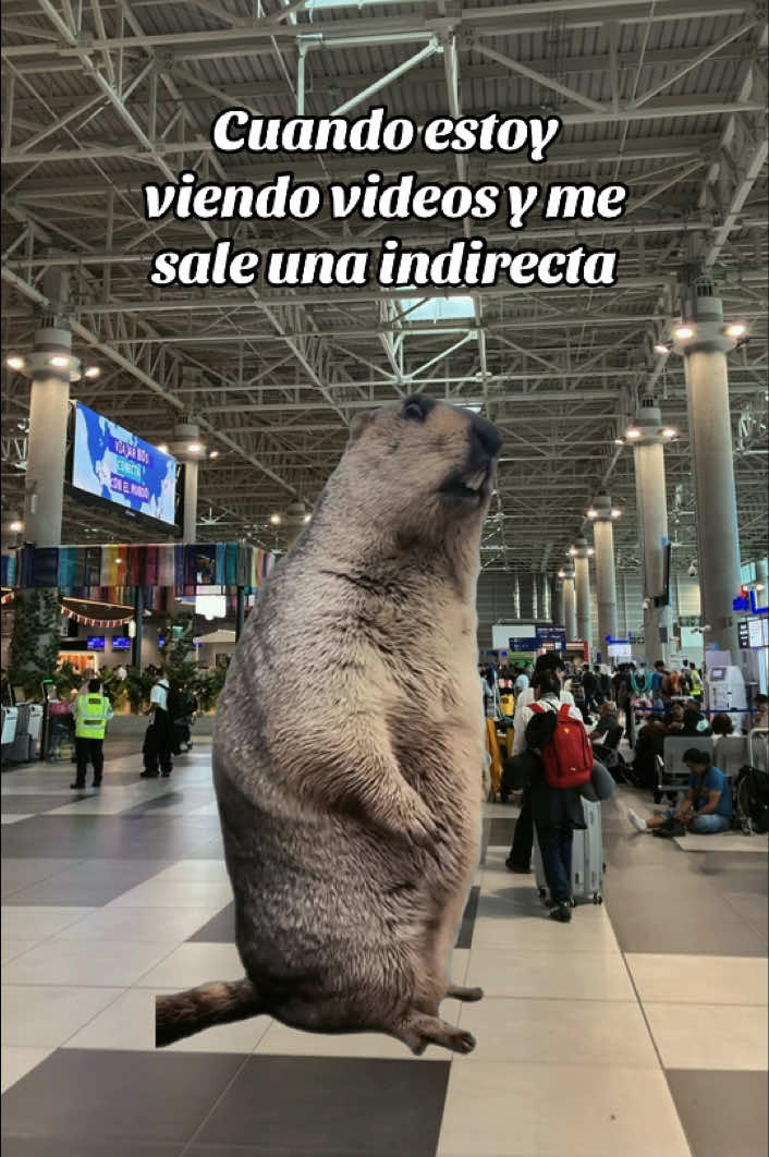 @jansonmania