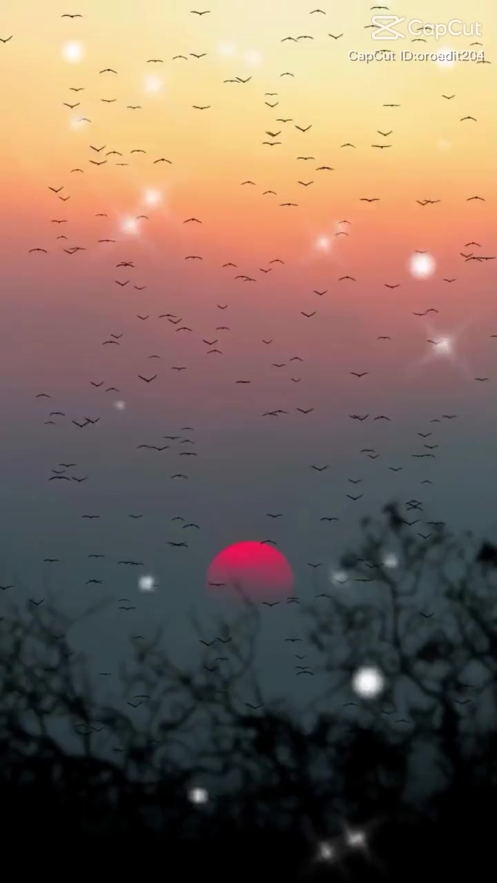 @Mamadsali Aminu