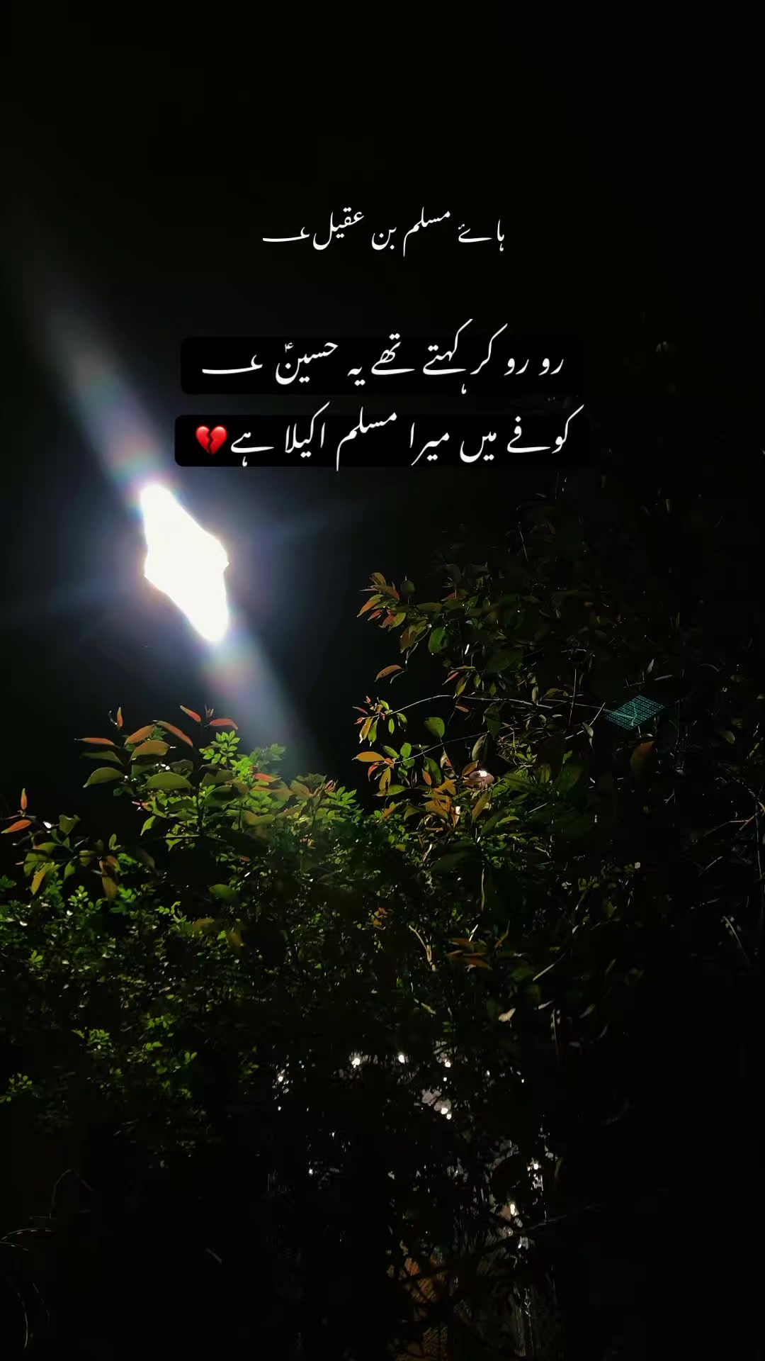 @Shia_Thoughts