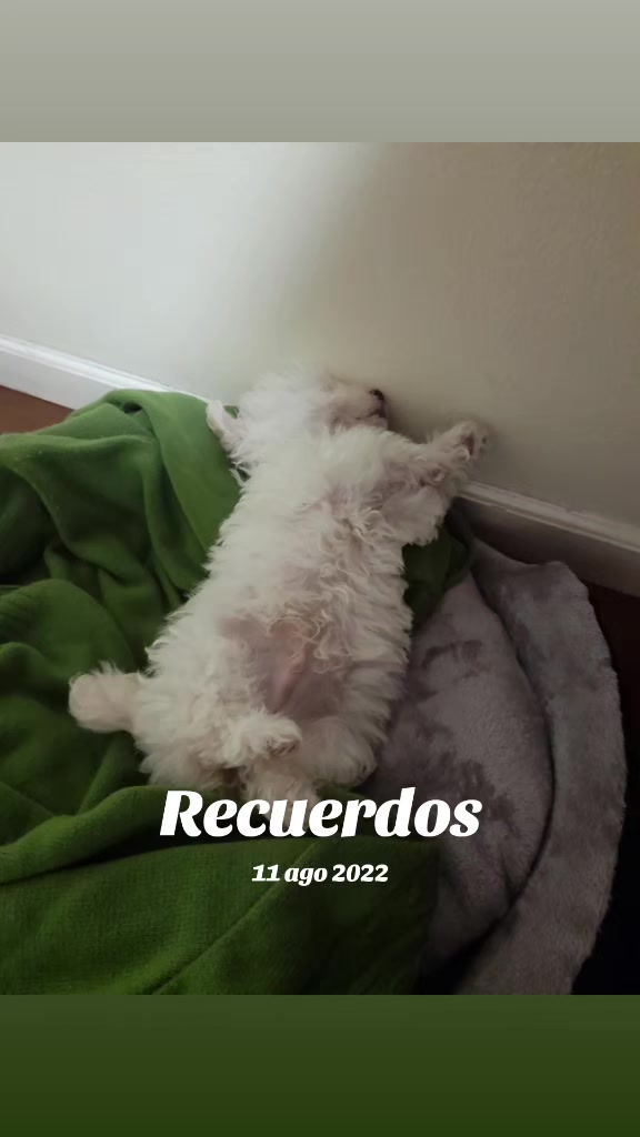 @mayrita❤