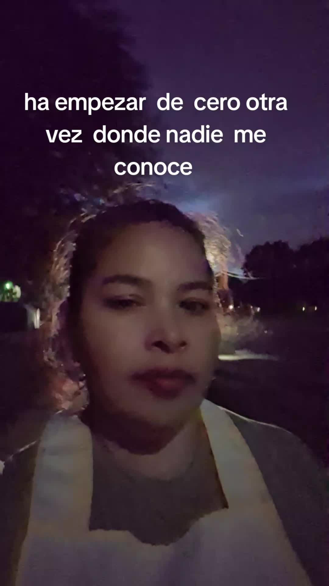 @el ave fénix