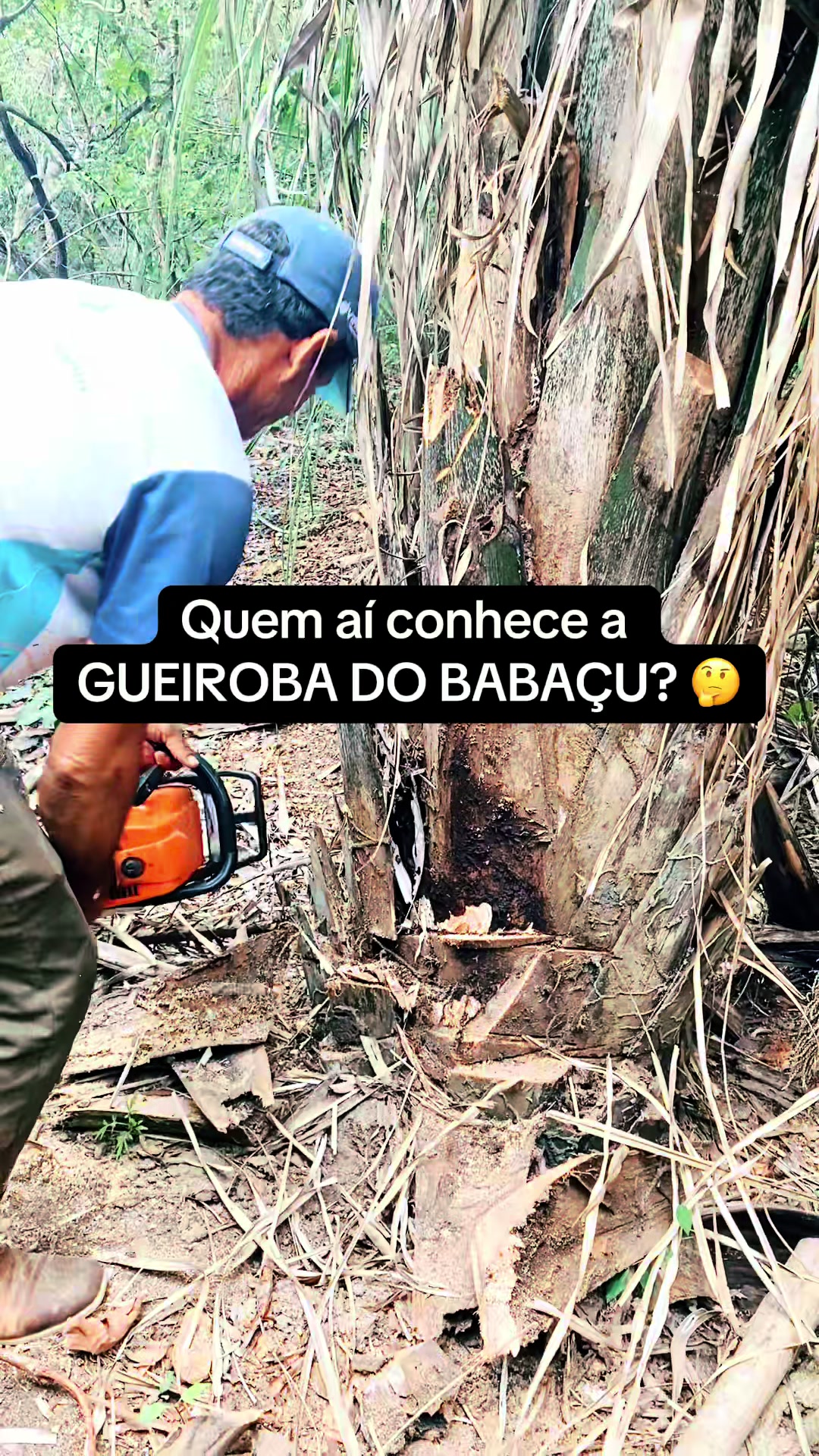 @Whalliston Augusto