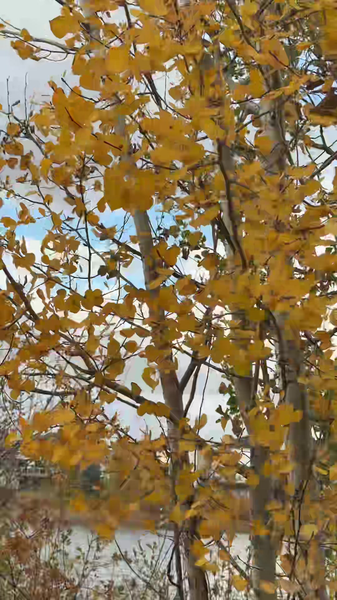 @deep 777
