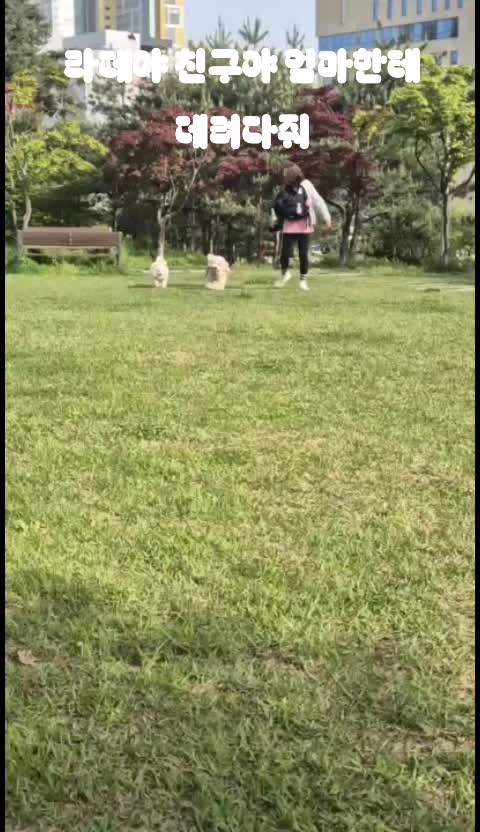 @예쁜라떼