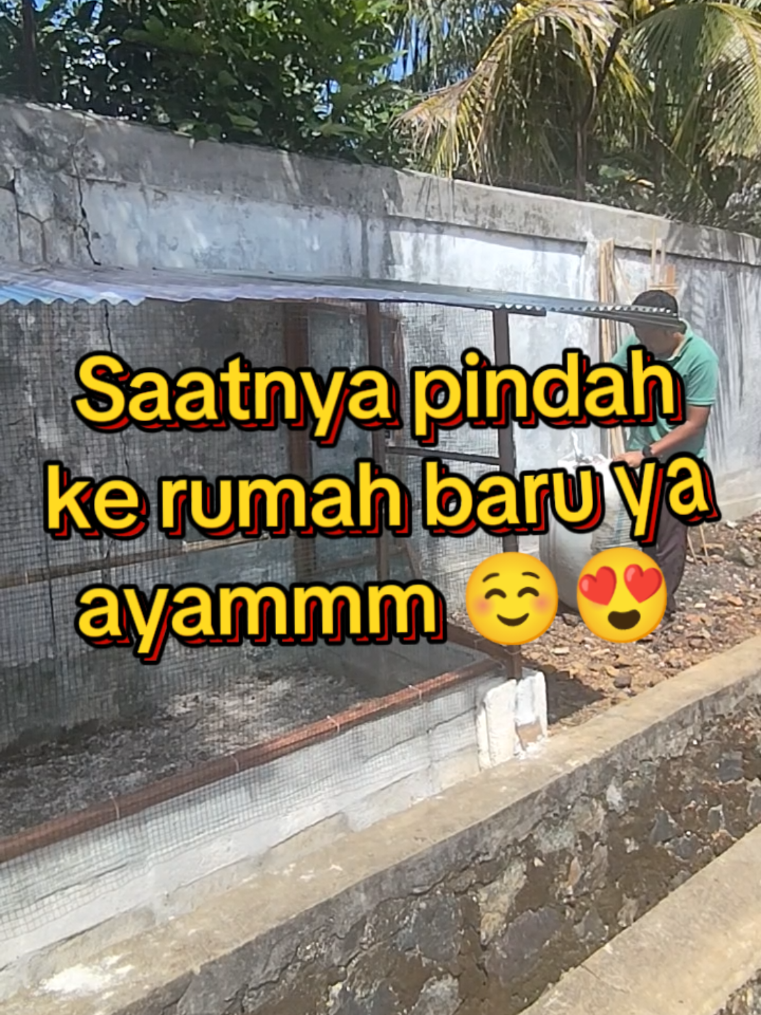 @Prasetya